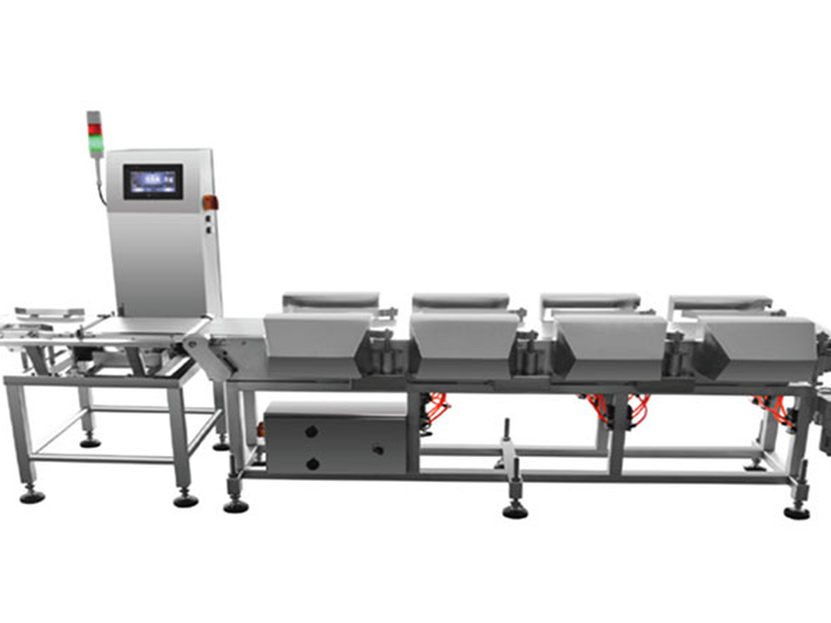 Sistema de control de peso en línea